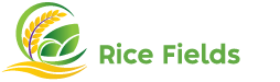 Heaven Upon Rice Fields
